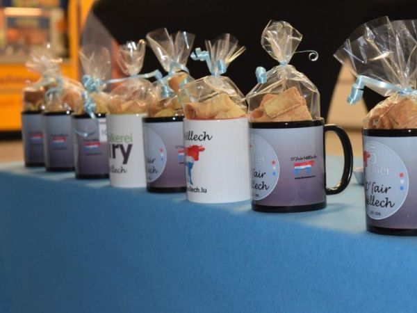 Aweiung Goebel 11 Aweiung Goebel 11