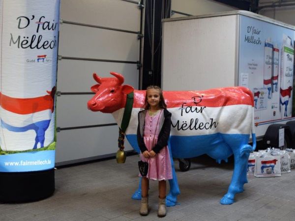 Aweiung Goebel 13 Aweiung Goebel 13