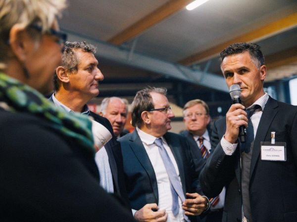 Aweiung Goebel 74 Aweiung Goebel 74