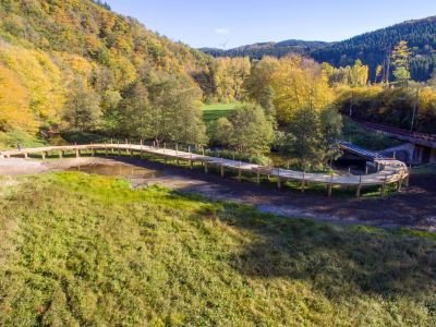 pont en bois,holzbrücke