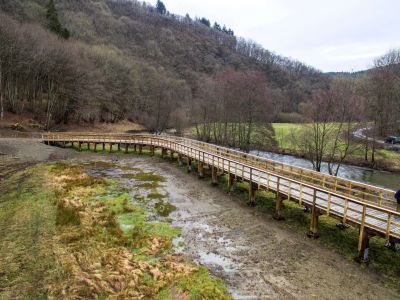 pont en bois,holzbrücke